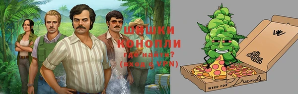 гашик Бронницы